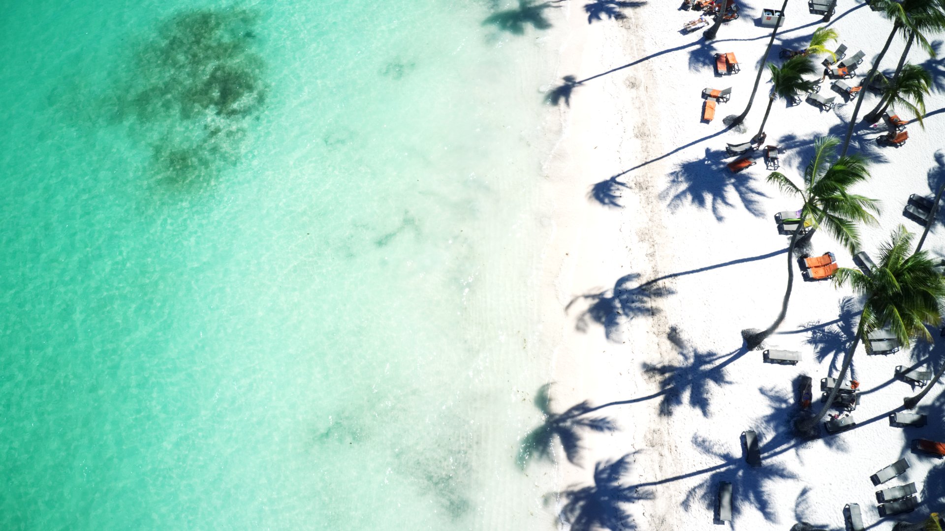 vista aérea de playa tropical con tumbonas y palmeras Punta Cana República Dominicana